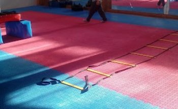 TAEKWONDO REVOLUTION KIM