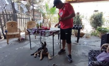 Multicancha El Polígono