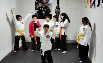 Dojo Leveke Taipan Marcial