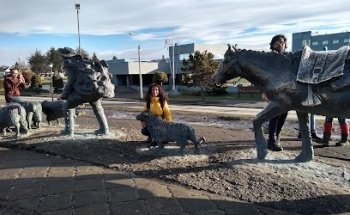 Jorge Ricardo Munoz Balcazar