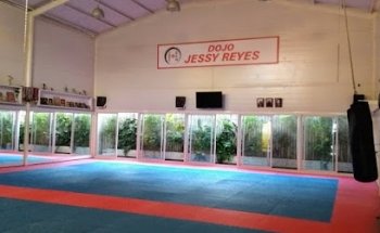 Escuela de Karate Jessy Reyes