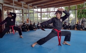 Gimnasio vida activa