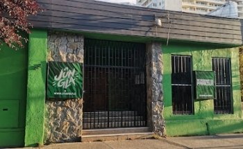 La Jungla Academia de Parkour y Artes Marciales