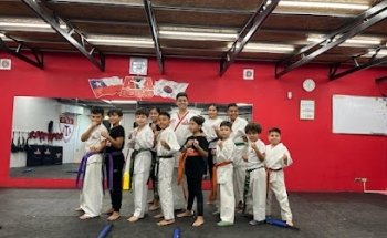 Escuela de Taekwondo Bekho Martial Arts Alicahue