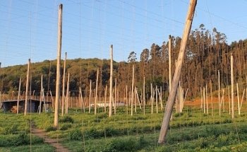 Complejo Deportivo Asenav.