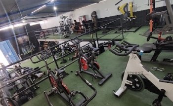 Halterhos GYM