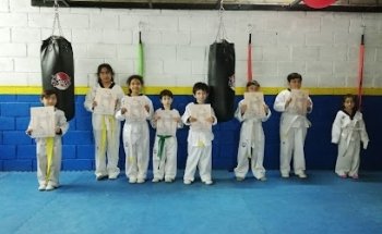 Him-do taekwondo wtf