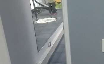 Sport Training Rehabilitation