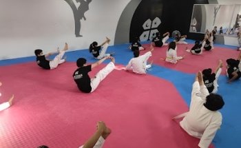 ACADEMIA DE TAEKWONDO FEDERADA WT LINCOYAN