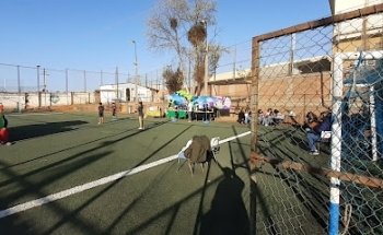 Cancha Tres Estrellas
