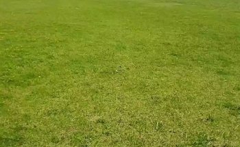 José Miguel Carrera sports club