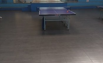 Club De Deportes Los Placeres