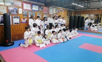 Psicokarate