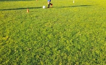 Complejo Los Eucaliptos