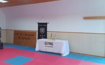 Taekwondo WTF Melipilla