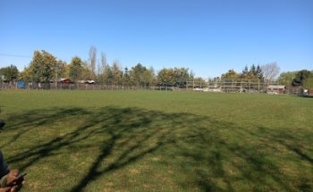 Cancha nacional de cato