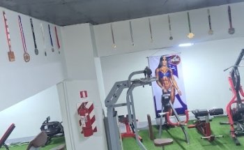 Gimnasio Fitness Palace