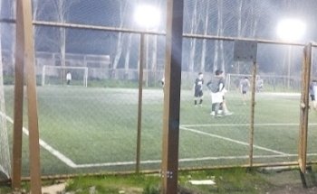 Complejo los vidales