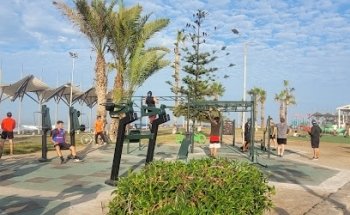 Gimnasio publico y calistenia