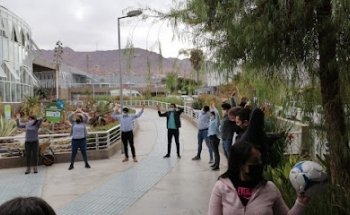 SIF Strike Integral Fitness