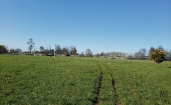 Plaza de Ejercicios Francke
