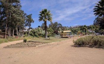 complejo deportivo parada 4 forestal