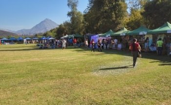 Cancha Estrella De Ocoa
