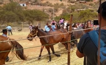 Cancha Club Deportivo Quebrada Alvarado