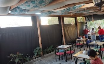 Passiflora cafeteria