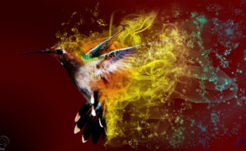 Maria Colibri Yoga y Terapias Complementarias