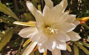 MahaMudra Yoga Studio