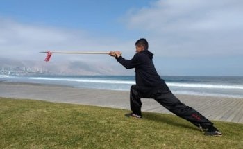 Kung Fu - ChoyLeeFut - Estacion Central