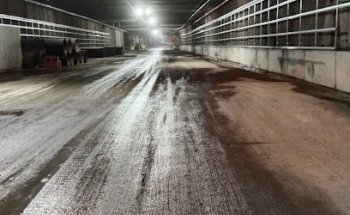 M.A.N.D.U. VespucciSpa