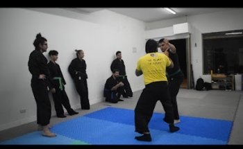 Getsukan dojo _ Bujinkan Concón