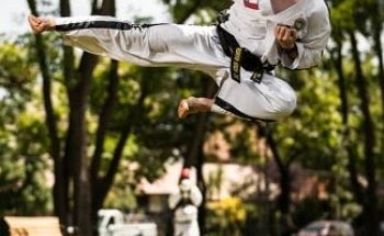 Taekwondo ITF La Reina