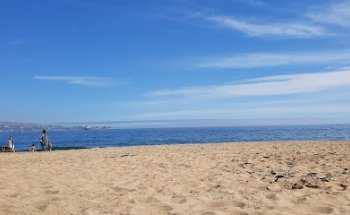 Chen Taichi Chikung Al Aire Libre