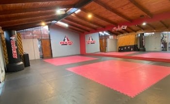 Academia Taekwondo BEKHO Tercera Avenida Padre Hurtado
