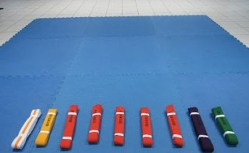 GLOBAL TANG SOO DO FEDERATION