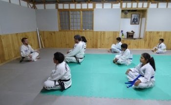 In Nae Kwan Taekwon-Do ITF