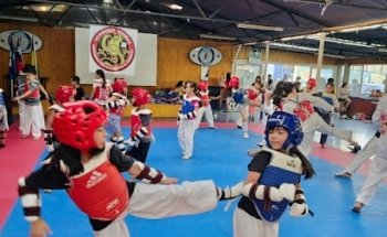 ROTT TKD QUILICURA