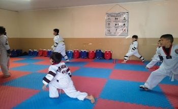Taekwondo WT SEONG JIN