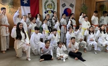 Karate Infantil Juvenil Y Adulto