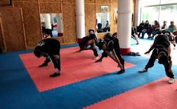 Kung Fu - Choy Lee Fut - Viña del Mar