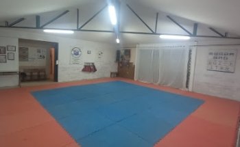 academia de taekwondo zorros del desierto viña del mar