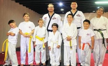 Academia Taekwondo BEKHO Chicureo 1