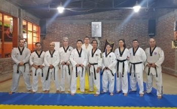 Escuela Oficial de Taekwondo Maestro Kim