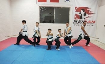 Nei Dan Kung Fu Academy, Sede Puente Alto