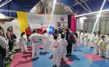 Escuela de Kárate Mario Castro