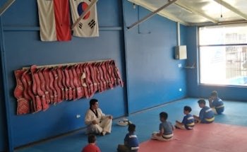 TAEKWONDO WTF CHONG-KI MELIPILLA