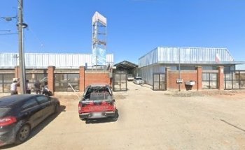 Taekwondo Tigres Negros Linares